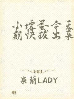 小坏蛋今天危险期快拔出来封面