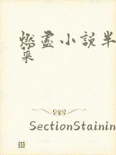 燃尽小说半截白菜