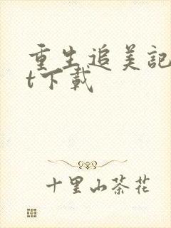 重生追美记txt下载