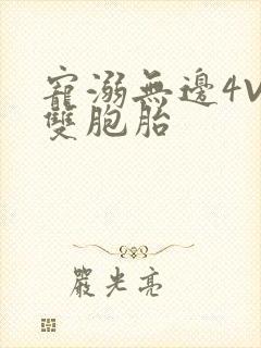 宠溺无边4V2双胞胎