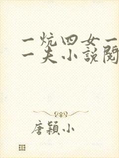 一炕四女一共侍一夫小说阅读