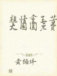 亲情会王芳高敏大团圆免费阅读封面