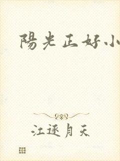 阳光正好小说封面