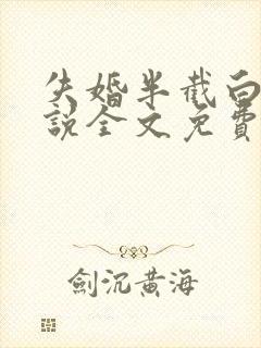 失婚半截白菜小说全文免费阅读