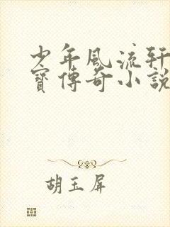 少年风流轩辕大宝传奇小说