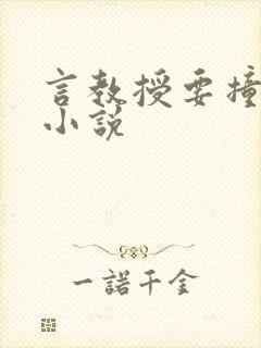 言教授要撞坏了小说