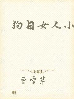 狗日女人小说