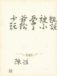 少爷受被粗汉H玩松了小说