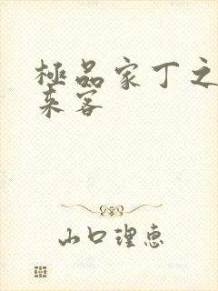 极品家丁之远方来客