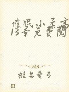 催眠小柔高达第13章免费阅读