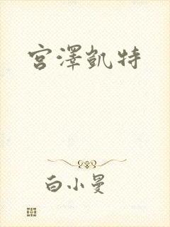 宫泽凯特封面