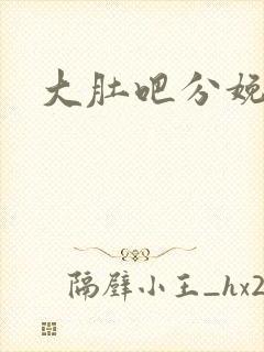 大肚吧分娩小说