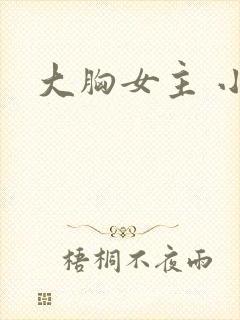 大胸女主 小说封面