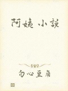 阿姨 小说