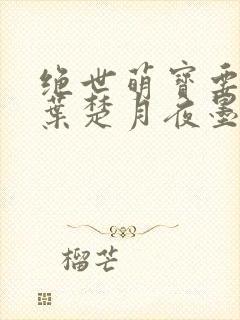 绝世萌宝要翻天叶楚月夜墨寒