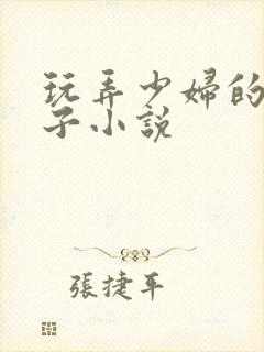 玩弄少妇的大奶子小说