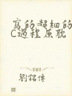 写的超细的多肉C过程原耽