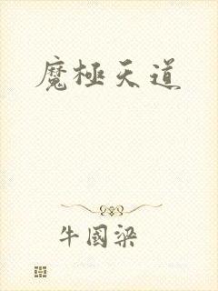 魔极天道封面