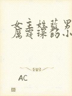 女主姓蓝男主叫厉霆琛的小说