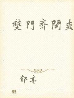 双门齐开爽死啦封面