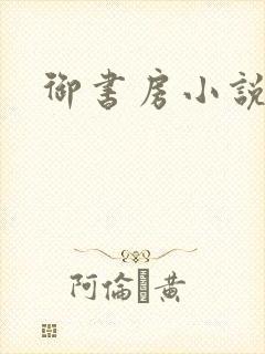 御书房小说