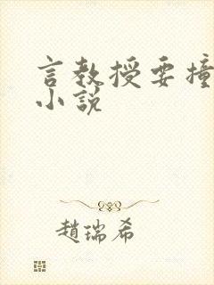 言教授要撞坏了小说