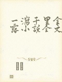 一泻千里金银花露小说全文免费阅读