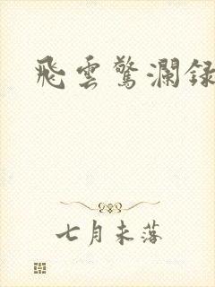 飞云惊澜录