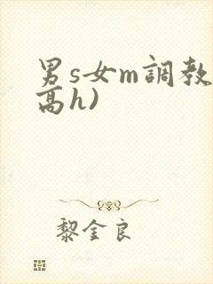 男s女m调教(高h)