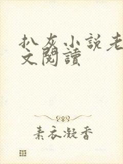 扒灰小说老马全文阅读