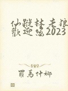 仙踪林老狼入口欢迎您2023封面