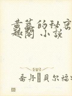 黄蓉的秘密 笔趣阁 小说