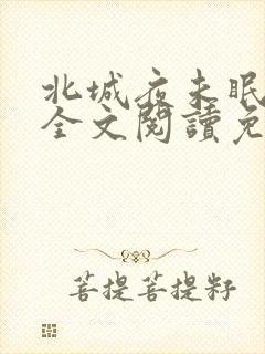 北城夜未眠小说全文阅读免费