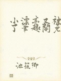 小漂亮又被欺负了笔趣阁免费阅读