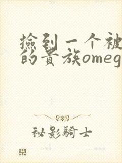 捡到一个被抹布的贵族omega