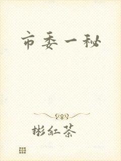 市委一秘