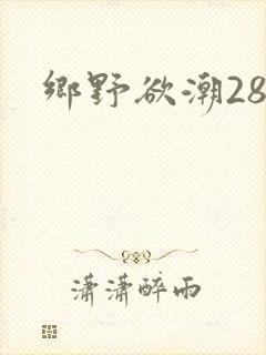 乡野欲潮28章