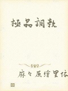 极品调教封面