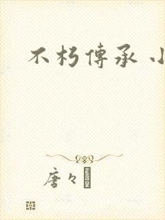 不朽传承 小说封面