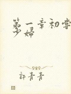 第一章初尝极品少妇