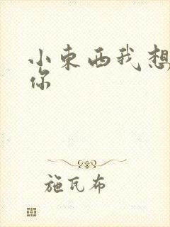 小东西我想弄坏你