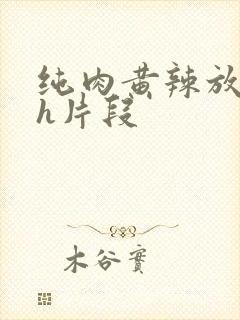 纯肉黄辣放荡高h片段