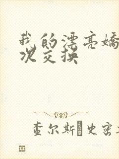 我的漂亮娇妻初次交换