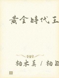 黄金时代王小波封面