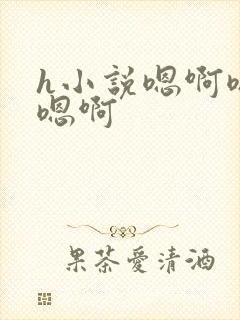 h小说嗯啊嗯啊嗯啊