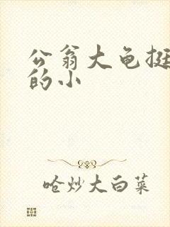 公翁大龟挺进我的小