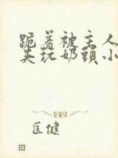 跪着被主人用乳夹玩奶头小说