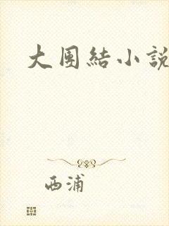 大团结小说阅读