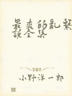 最爽的乱系列小说全集封面