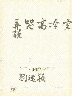 弄哭高冷室友小说